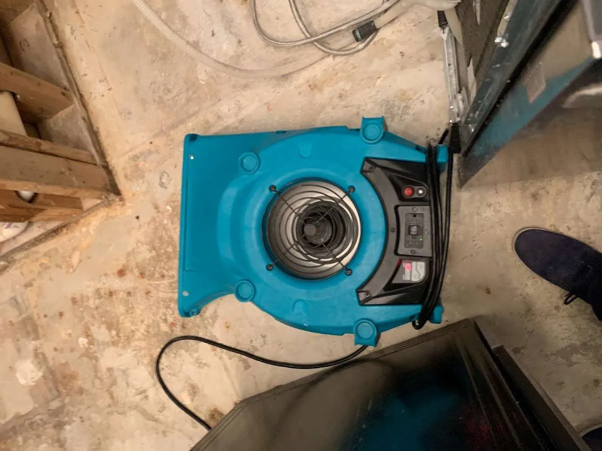 Air mover drying equipment for Mold Remediation & Removal in Conway